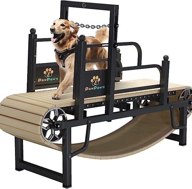 Dog Trademil