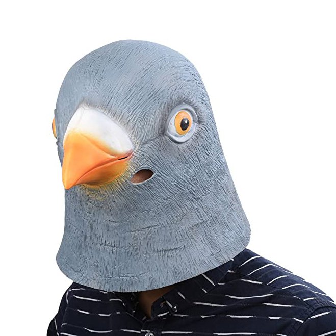 Pigeon-Mask